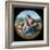 The Alba Madonna-Raphael-Framed Giclee Print