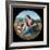 The Alba Madonna-Raphael-Framed Giclee Print