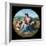 The Alba Madonna-Raphael-Framed Giclee Print