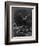 The Albatross Is Shot by the Mariner-Gustave Doré-Framed Giclee Print