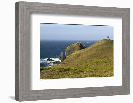 The Albatross Monument at Cape Horn, Isla De Cabo De Hornos, Tierra Del Fuego, Chile, South America-Tony Waltham-Framed Photographic Print