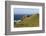 The Albatross Monument at Cape Horn, Isla De Cabo De Hornos, Tierra Del Fuego, Chile, South America-Tony Waltham-Framed Photographic Print