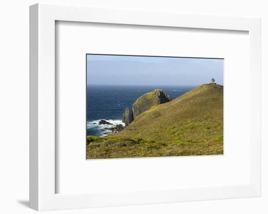 The Albatross Monument at Cape Horn, Isla De Cabo De Hornos, Tierra Del Fuego, Chile, South America-Tony Waltham-Framed Photographic Print