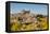 The Alcazar Towering Above the Rooftops of Toledo, Castilla La Mancha, Spain, Europe-Martin Child-Framed Premier Image Canvas