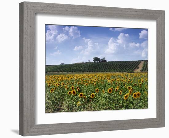 The Alejandro Fernandes Winery, Pesquera de Duero, Spain-Hendrik Holler-Framed Photographic Print