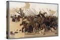 Stretched Canvas Print
