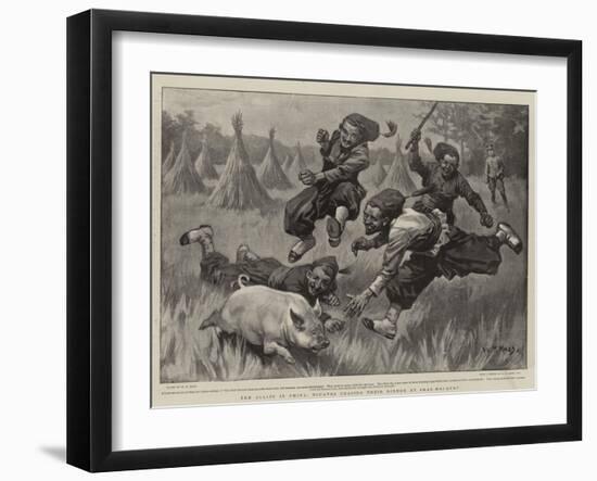 The Allies in China, Zouaves Chasing their Dinner at Shan-Hai-Quan-William T. Maud-Framed Giclee Print