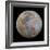 The Almost Full Moon in Color-Stocktrek Images-Framed Photographic Print