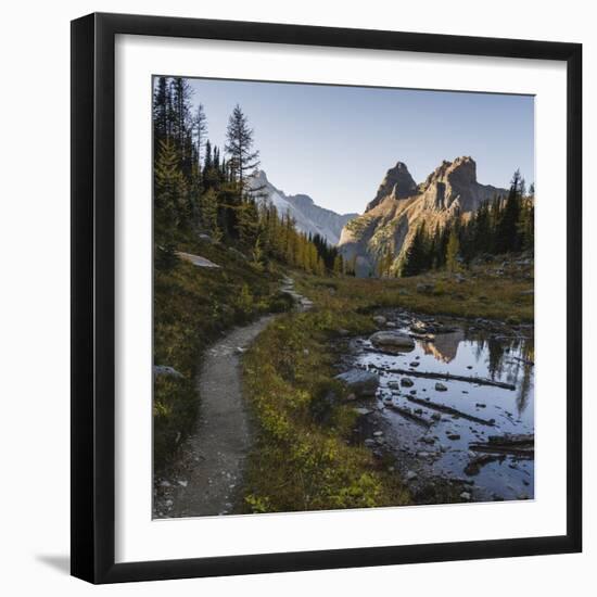 The Alpine Circuit Trail at Lake O'Hara, Yoho National Park, UNESCO World Heritage Site, British Co-JIA HE-Framed Photographic Print