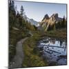 The Alpine Circuit Trail at Lake O'Hara, Yoho National Park, UNESCO World Heritage Site, British Co-JIA HE-Mounted Photographic Print