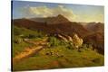 Stretched Canvas Print