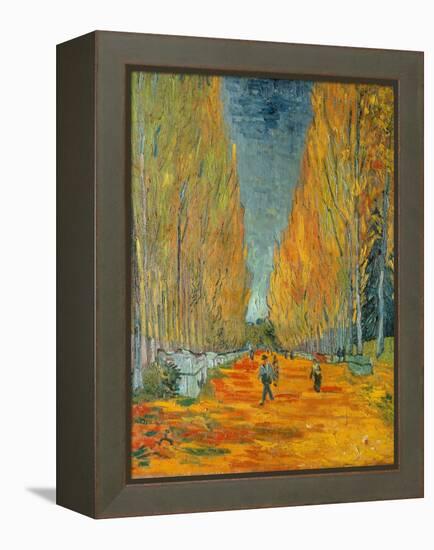 The Alyscamps, Arles, 1888-Vincent van Gogh-Framed Premier Image Canvas