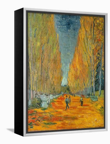 The Alyscamps, Arles, 1888-Vincent van Gogh-Framed Premier Image Canvas