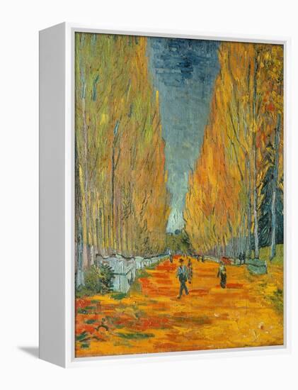 The Alyscamps, Arles, 1888-Vincent van Gogh-Framed Premier Image Canvas