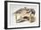 The Amateur Chemist's Laboratory Bench, 1860-M & N Hanhart-Framed Giclee Print