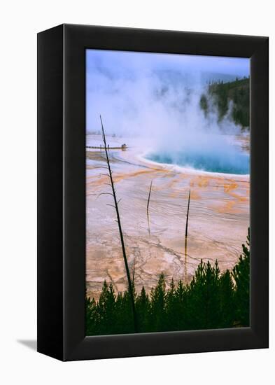 The Amazing Grand Prismatic Spring, Yellowstone National Park-Vincent James-Framed Premier Image Canvas