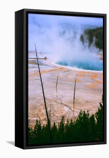 The Amazing Grand Prismatic Spring, Yellowstone National Park-Vincent James-Framed Premier Image Canvas