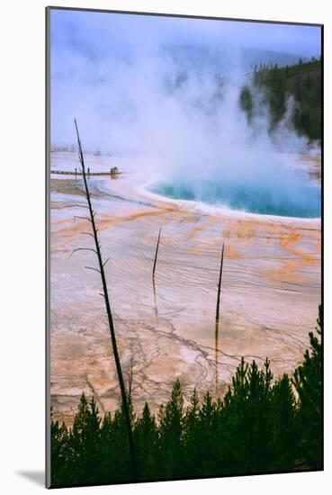 The Amazing Grand Prismatic Spring, Yellowstone National Park-Vincent James-Mounted Photographic Print