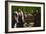 The Ambassadors-Hans Holbein the Younger-Framed Art Print