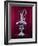 The America's Cup Yachting Trophy in the New York Yacht Club's Trophy Room-Dmitri Kessel-Framed Photographic Print