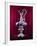 The America's Cup Yachting Trophy in the New York Yacht Club's Trophy Room-Dmitri Kessel-Framed Photographic Print