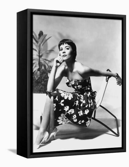 The American Actress Natalie Wood (1938-1981) C. 1956-null-Framed Stretched Canvas