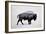 The American Bison-Davies Babies-Framed Premium Giclee Print