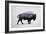 The American Bison-Davies Babies-Framed Premium Giclee Print