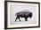 The American Bison-Davies Babies-Framed Premium Giclee Print