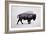 The American Bison-Davies Babies-Framed Art Print