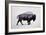 The American Bison-Davies Babies-Framed Art Print