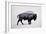 The American Bison-Davies Babies-Framed Art Print