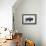 The American Bison-Davies Babies-Framed Stretched Canvas displayed on a wall