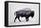 The American Bison-Davies Babies-Framed Stretched Canvas