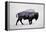 The American Bison-Davies Babies-Framed Stretched Canvas