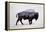 The American Bison-Davies Babies-Framed Stretched Canvas