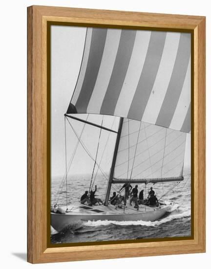 The American Eagle During America's Cup Race-George Silk-Framed Premier Image Canvas