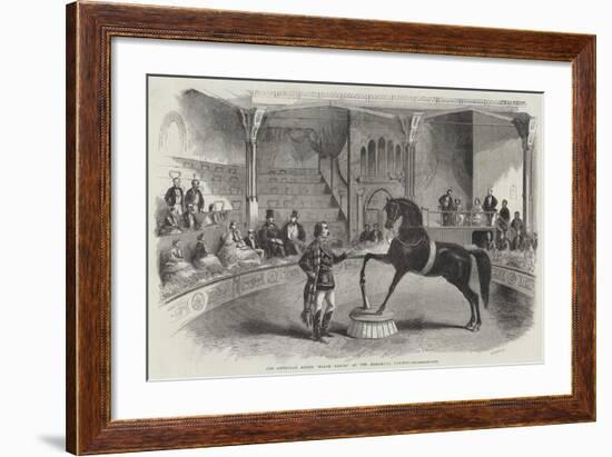 The American Horse Black Eagle, at the Alhambra Palace-null-Framed Giclee Print