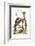 The American Kingfisher, 1749-73-George Edwards-Framed Giclee Print