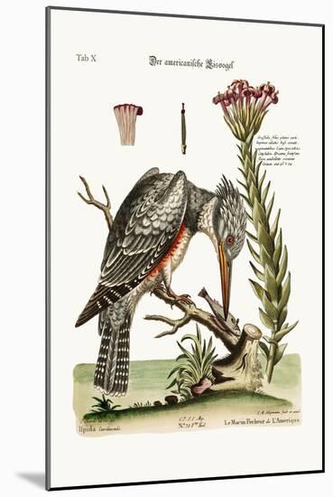 The American Kingfisher, 1749-73-George Edwards-Mounted Giclee Print