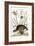 The American Partridge, 1749-73-Mark Catesby-Framed Giclee Print