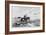 The American Pony Express, En Route from the Missouri River to San Francisco-George Henry Andrews-Framed Giclee Print