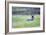 The American Pronghorn, a Buck Rests in the Grass-Richard Wright-Framed Photographic Print