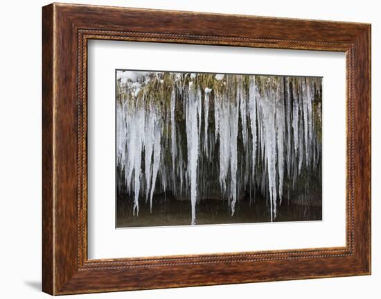 The Ammer and the Schleierfalle in Winter with Ice and Snow in the Allgau-Wolfgang Filser-Framed Photographic Print