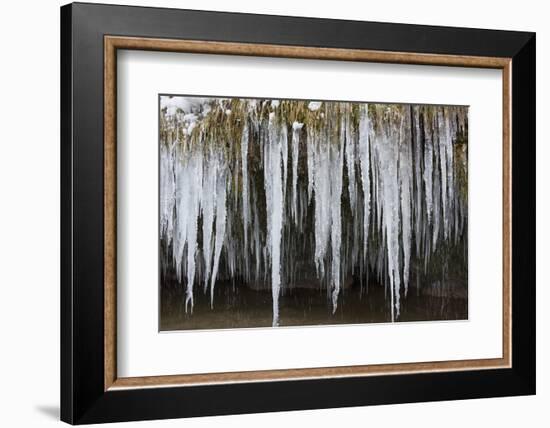 The Ammer and the Schleierfalle in Winter with Ice and Snow in the Allgau-Wolfgang Filser-Framed Photographic Print