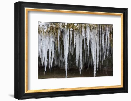 The Ammer and the Schleierfalle in Winter with Ice and Snow in the Allgau-Wolfgang Filser-Framed Photographic Print