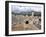 The Amphitheatre at the Lycian Site of Xanthos, Antalya Province, Anatolia, Turkey-null-Framed Photographic Print