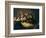 The Anatomy Lesson of Dr Nicolaes Tulp, 1632-Rembrandt van Rijn-Framed Giclee Print