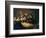 The Anatomy Lesson of Dr Nicolaes Tulp, 1632-Rembrandt van Rijn-Framed Giclee Print