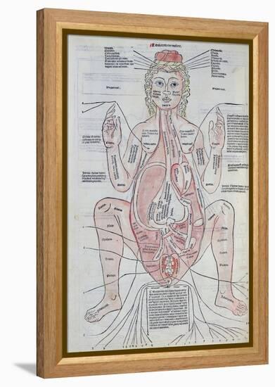 The Anatomy of the Pregnant Woman, Illustration from 'Fasciculus Medicinae' by Johannes De Ketham-Italian School-Framed Premier Image Canvas